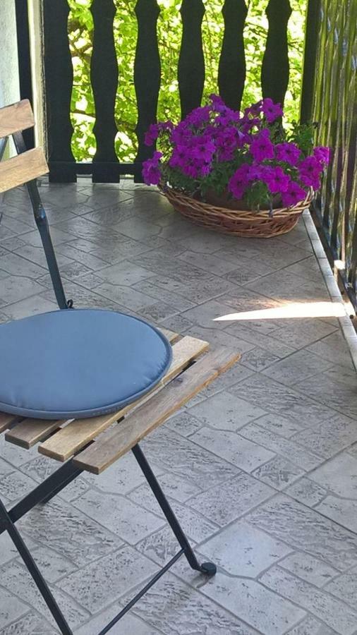 Apartman Ruzica Ogulin Esterno foto